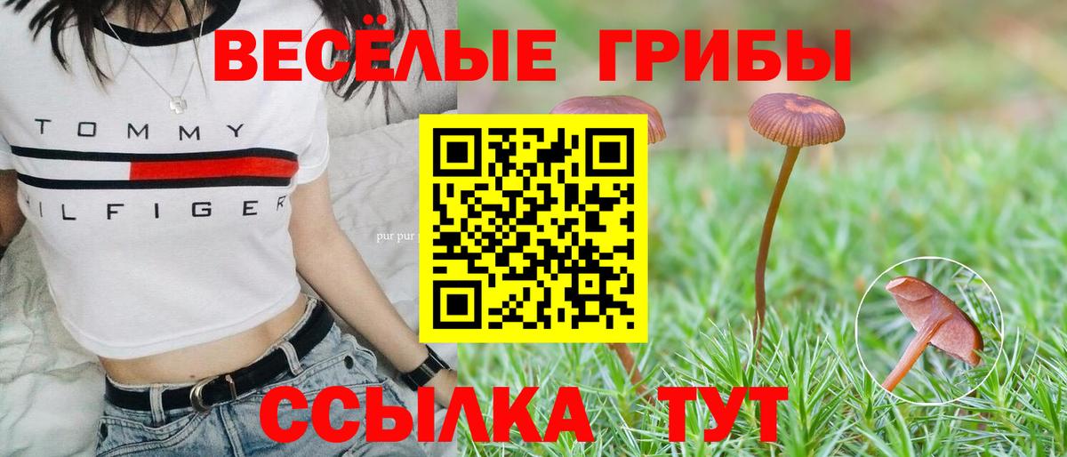 цена   Вход с VPN  Чистополь  Галлюциногенные грибы Cubensis 